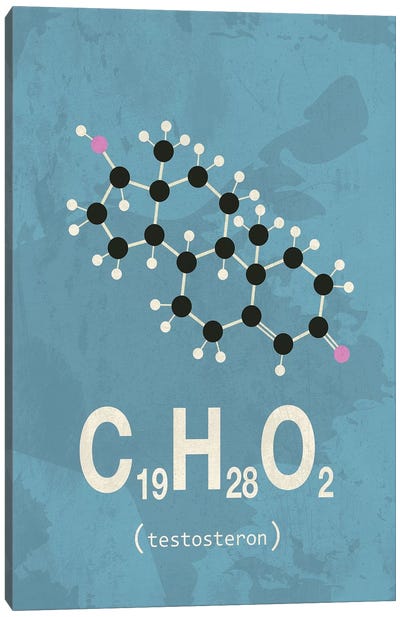 Testosterone I Canvas Art Print - Chemistry Art