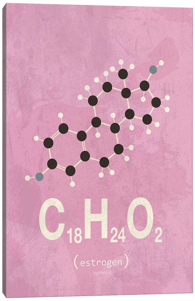 Estrogen I Canvas Art Print - Chemistry Art