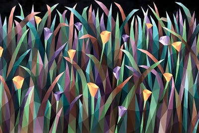 Floral Carpet On A Black Background by Maria Tuzhilkina framed wall art