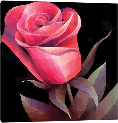 Scarlet Crystal Rose On Black Background Canvas Art Print