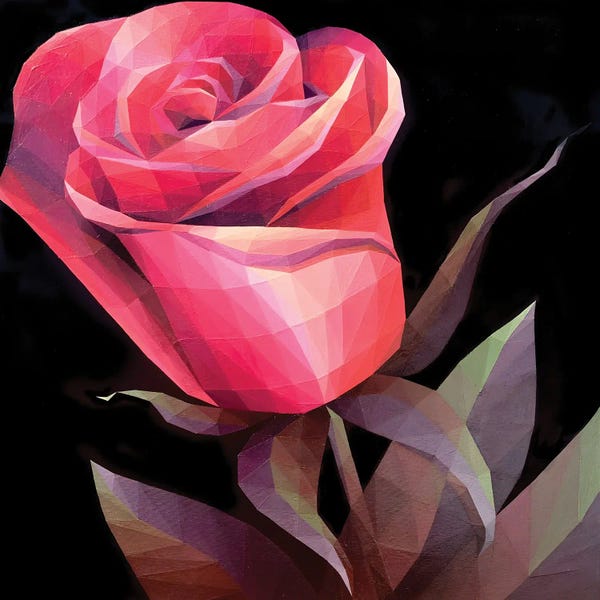 Fine Art Print: Scarlet Crystal Rose On Black Background by Maria Tuzhilkina