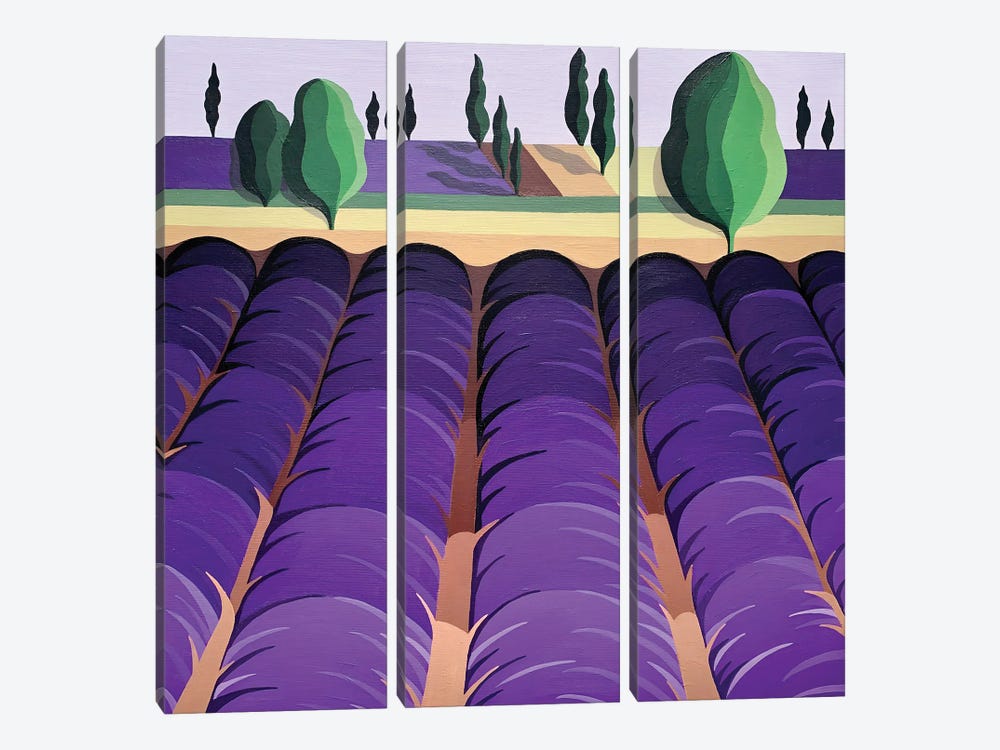 Lavender Field by Maria Tuzhilkina 3-piece Canvas Print