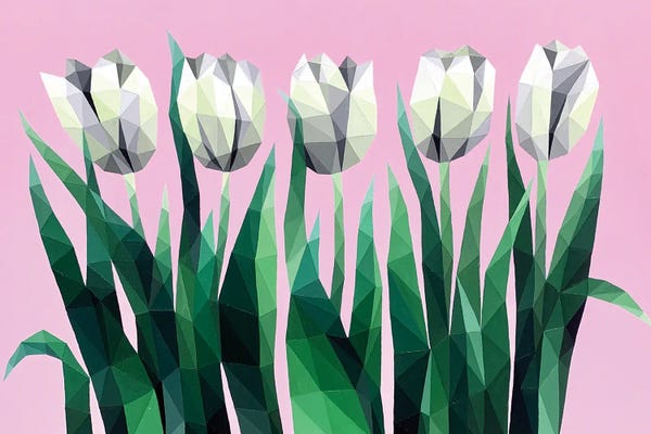 Tulips: White Tulips On Pink by Maria Tuzhilkina