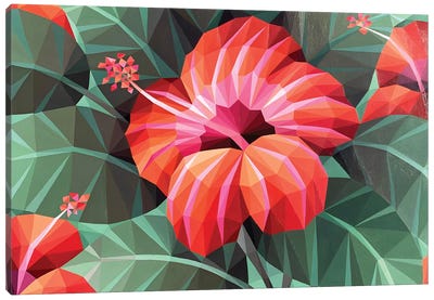 Orange Hibiscus Flower Canvas Art Print