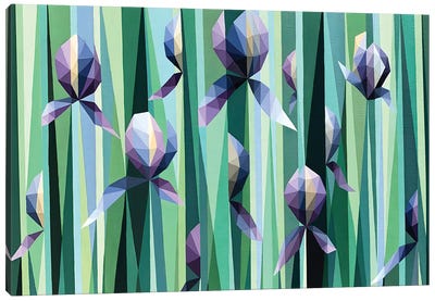Field Of Lilac Irises Canvas Art Print