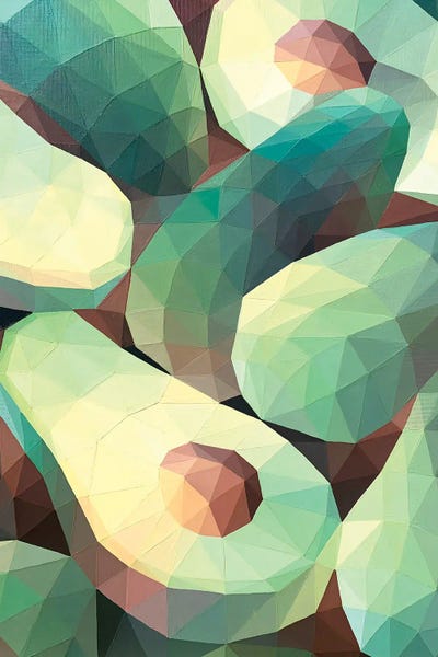 Geometric Still Life With Avocado by Maria Tuzhilkina framed canvas print