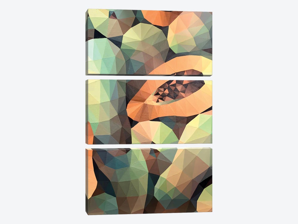 Ripe Papaya by Maria Tuzhilkina 3-piece Canvas Artwork