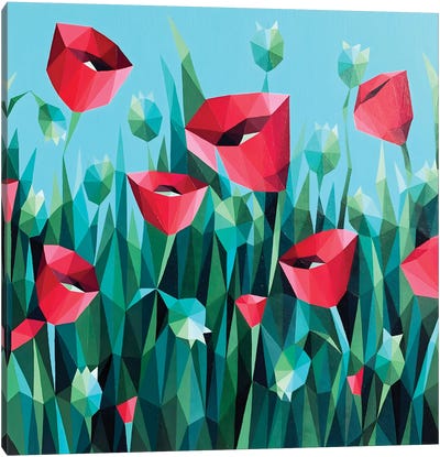 Scarlet Poppies On A Turquoise Background Canvas Art Print