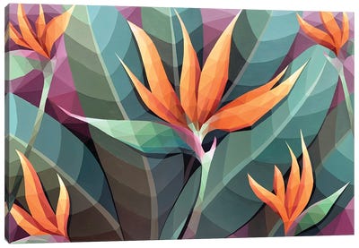 Strelitzia Fire Flower Canvas Art Print