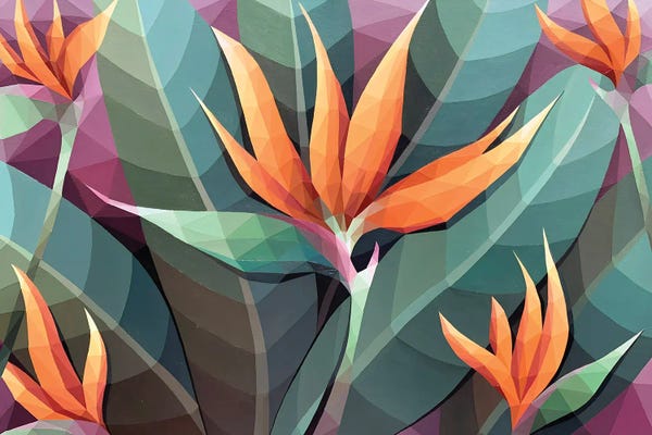 Birds Of Paradise