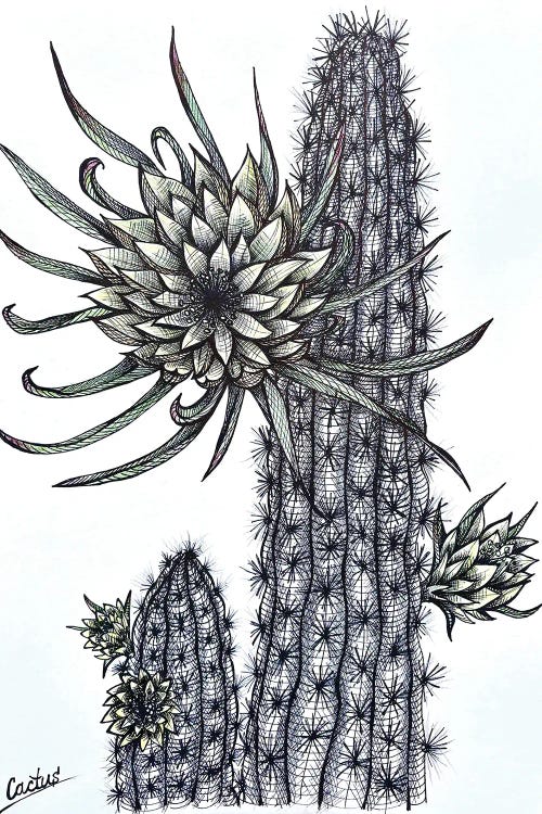 Yellow Cactus Flowers