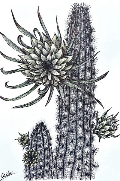 Maria Tuzhilkina: Yellow Cactus Flowers by Maria Tuzhilkina