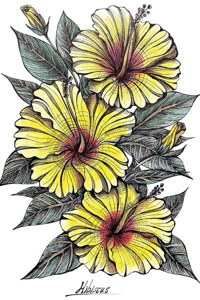 Maria Tuzhilkina: Yellow Hibiscus Drawing by Maria Tuzhilkina