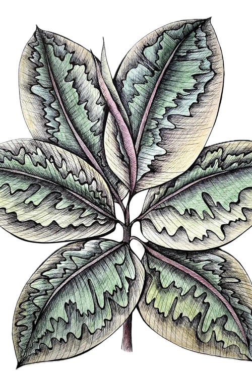 Ficus Leaves, Botanical Print, Ficus Leaves Graphics, Living Room Decor