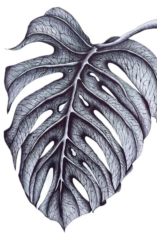 Monstera Sheet, Tropics, Graphics, Living Room Decor