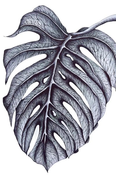 Maria Tuzhilkina: Monstera Sheet, Tropics, Graphics, Living Room Decor by Maria Tuzhilkina