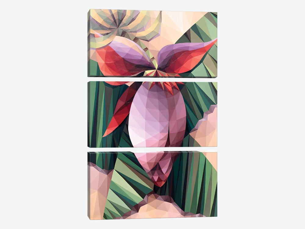 Banana Flower by Maria Tuzhilkina 3-piece Canvas Print