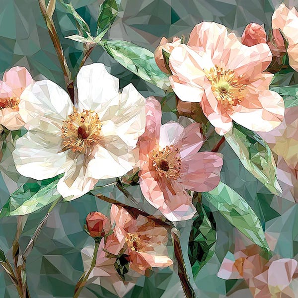 Sakura Flowers