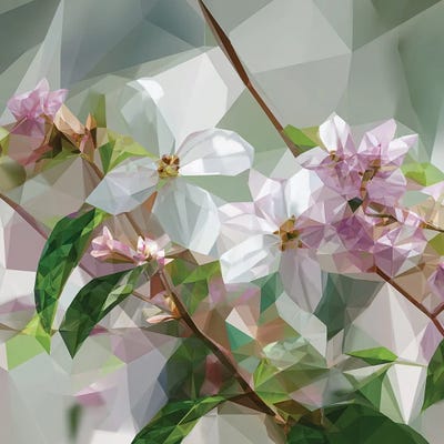 Canvas Art Prints: Cherry Blossoms by Maria Tuzhilkina