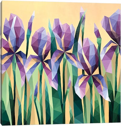 Crystal Irises Canvas Art Print