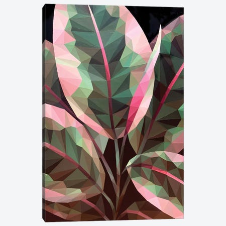 Ficus Leaves Canvas Print #TZH7} by Maria Tuzhilkina Canvas Artwork
