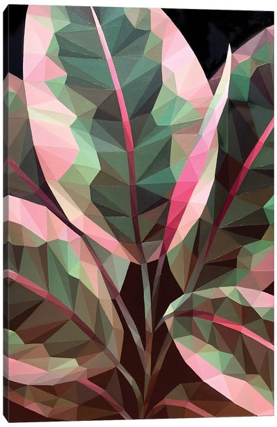 Ficus Leaves Canvas Art Print