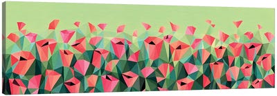 Field Of Poppies Canvas Art Print
