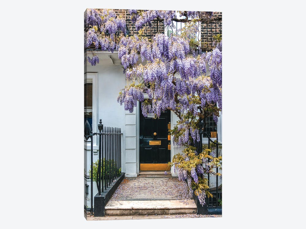 Wysteria IV by The Urbanteller 1-piece Canvas Wall Art