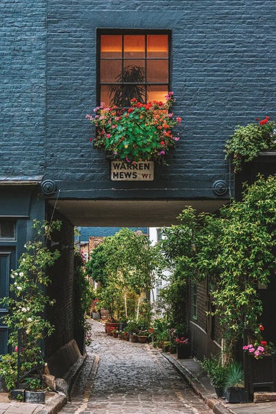 The Urbanteller: Warren Mews - London II by The Urbanteller