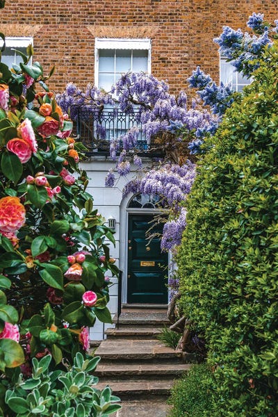 Wysteria V by The Urbanteller framed canvas print