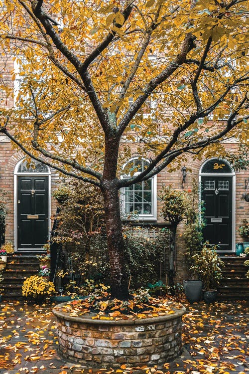 London In Autumn