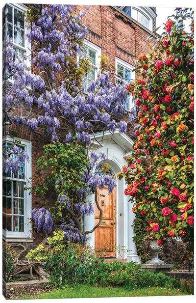 Wysteria I Canvas Art Print - Out & About
