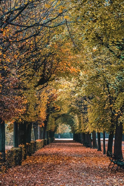 City Parks: Vienna by The Urbanteller