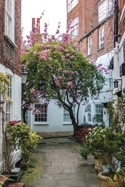 The Urbanteller: Hampstead Mews by The Urbanteller