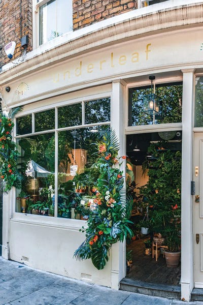 The Urbanteller: Columbia Road II by The Urbanteller