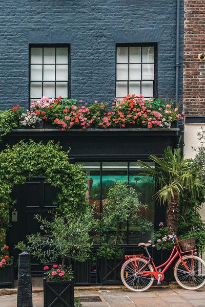 Warren Mews London II by The Urbanteller framed canvas print