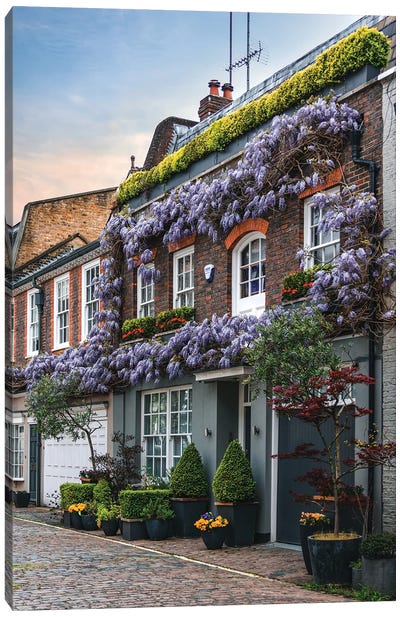 Wysteria II Canvas Art Print - Out & About