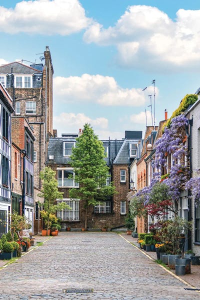 Out & About: Wysteria III by The Urbanteller