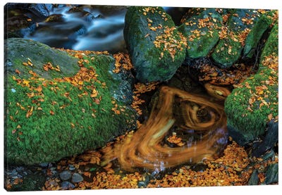 Torc Creek In Killarney National Park, Ireland Canvas Art Print - Chuck Haney