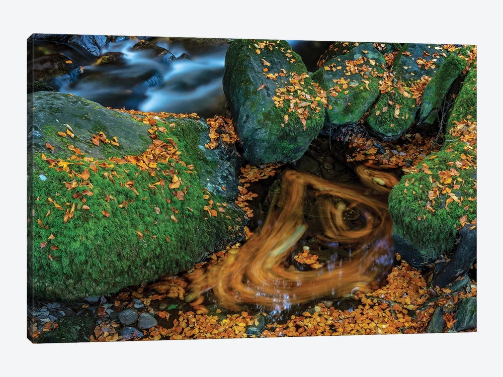 Torc Creek In Killarney National Park, Ireland by Chuck Haney 1-piece Canvas Art