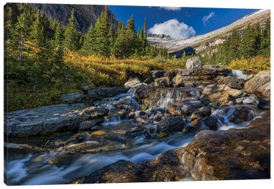Lunch Creek With Pollock Mountain In Glacier National Park, Montana, USA Canvas Art Print - Glacier National Park Art