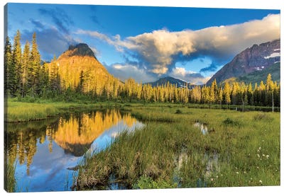 Sinopah Mountain And Its Reflection, Two Medicine, Glacier National Park, Montana, USA Canvas Art Print - Evergreen Tree Art