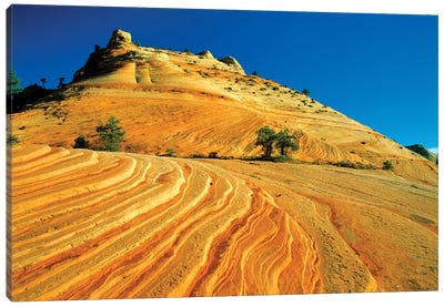 Layered Sandstone, Zion National Park, Utah, USA Canvas Art Print - Hospitality