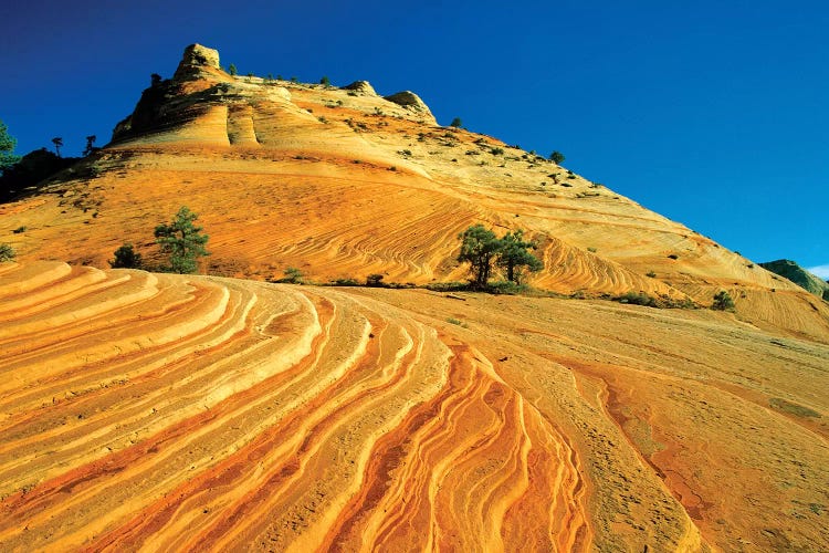 Layered Sandstone, Zion National Park, Utah, USA