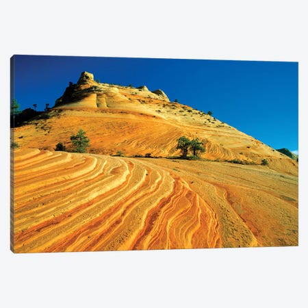 Layered Sandstone, Zion National Park, Utah, USA Canvas Print #UCK21} by Chuck Haney Canvas Art