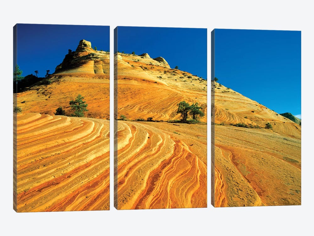 Layered Sandstone, Zion National Park, Utah, USA by Chuck Haney 3-piece Art Print