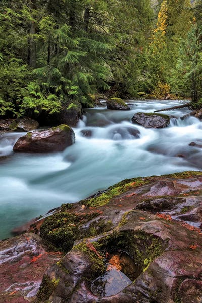 Avalanche Creek in Glacier National Park, Montana, USA