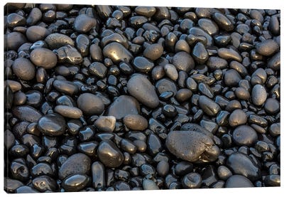Black pebbles on the beach, Snaefellsnes Peninsula, Iceland Canvas Art Print - Iceland Art