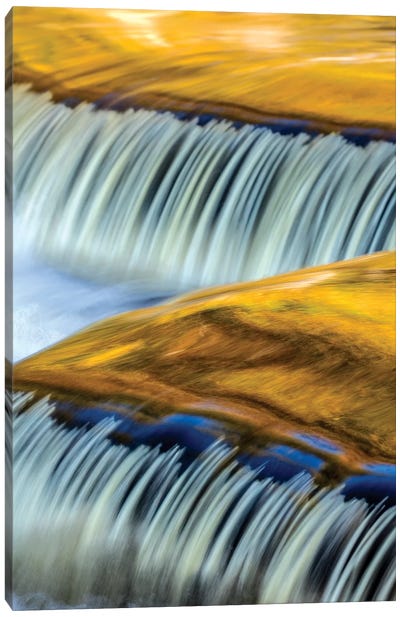 Golden Middle Branch of the Ontonagon River, Bond Falls Scenic Site, Michigan USA I Canvas Art Print - Michigan Art