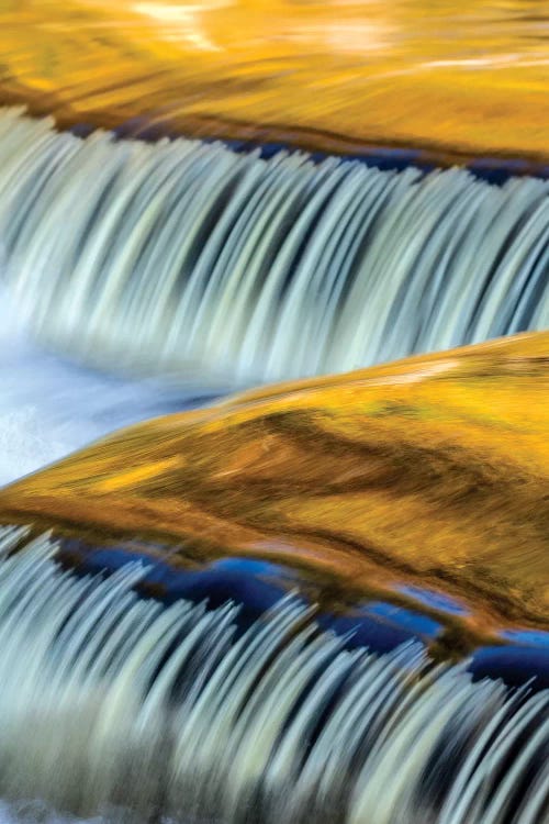 Golden Middle Branch of the Ontonagon River, Bond Falls Scenic Site, Michigan USA I